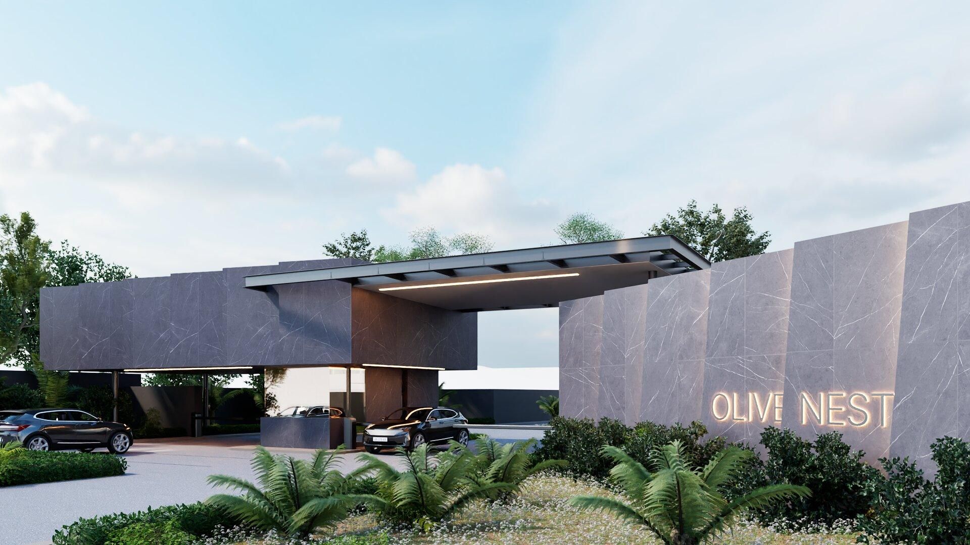 Olive Nest